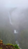 Helmcken Falls im Wells Gray Provincial Park - leider nur im Nebel