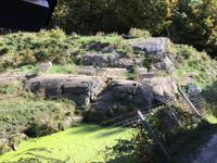 242 Omega Wildpark
