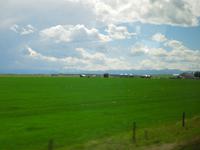 245 Auf dem Weg