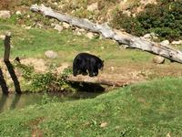 252 Omega Wildpark