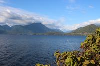 260. Kennedy Lake