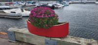 27 Mittagstopp am See