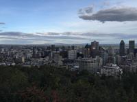 286 Montreal