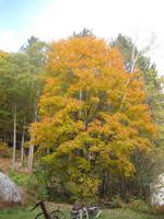Auf dem Weg zum Feuerwachturm in Dorset