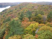 Blick vom Feuerwachturm in Dorset
