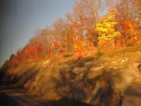 Fahrt durch den Algonquinpark