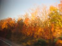 Fahrt durch den Algonquinpark