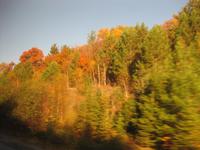 Fahrt durch den Algonquinpark