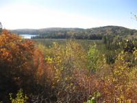Algonquin Park - Blick von der Terrasse des Besucherzentrums