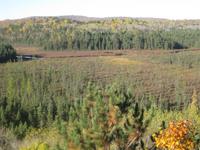 Algonquin Park - Blick von der Terrasse des Besucherzentrums