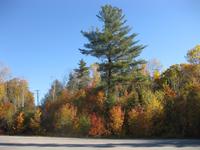 Algonquin Park - Parkplatz vor dem Besucherzentrum