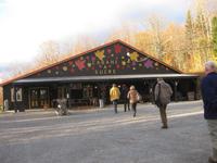 Alles über den Ahornsirup - Herstellung, Verkostung, .....