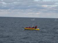 Whale Watching auf dem St.-Lorenz-Strom