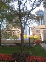 Montreal - Parkanlage