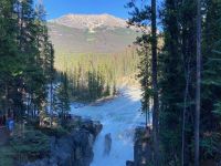 3. Tag – Jasper-Nationalpark – Sunwapta Falls