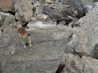 313 Moraine Lake