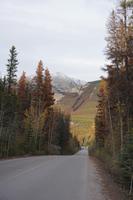 330 Sunwapta Falls