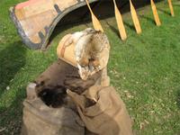 St. Marie Among The Hurons