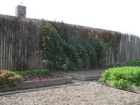 St. Marie Among The Hurons