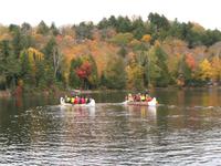 Zwei sind schon auf dem See und eins kommt noch nach...