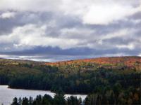 Ein Wahnsinn diese Laubfärbung