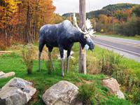 Besuch vom Omega Wildpark