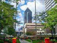 ... durch die Metropole.