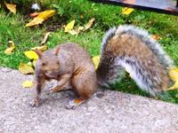 Na wer bist du denn?