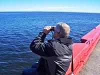 Na, sieht man schon den ersten Wal?