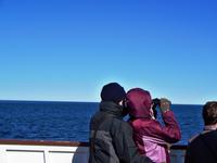 Schau... Siehst du den Wal?