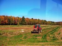 Es geht weiter in die Natur