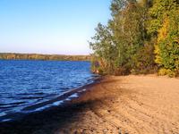 Mitten im Wald und direkt am See.