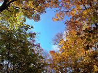 Sieht das nicht toll aus? Das Wetter ist auch wieder auf unserer Seite