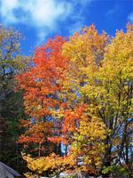 Toll diese Farben...