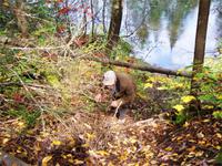 Ich sehe Sie überall...