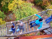 Abwärts geht es wieder