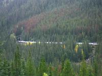 An den Spiral Tunnels im Yoho Nationalpark