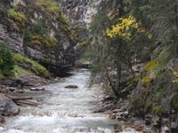 Am Johnston Canyon im Banff Nationalpark