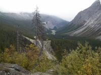 Entlang des Icefield Parkways