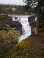 An den Athabasca Falls