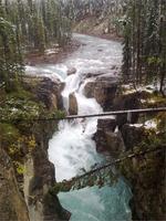An den Sunwapta Falls