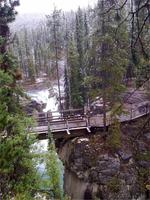 An den Sunwapta Falls