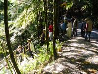 Unterwegs im Capilano River Nationalpark
