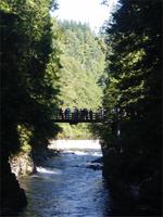 Unterwegs im Capilano River Nationalpark