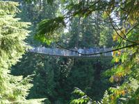 Capilano Suspension Bridge