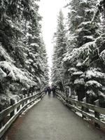 Walking in a winter wonderland