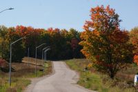 36 Indian Summer