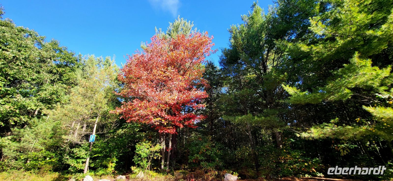 38 Indian Summer