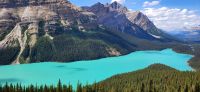 42 Peyto Lake