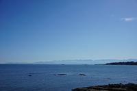 435 Cattle Point